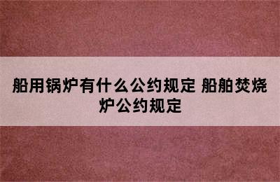 船用锅炉有什么公约规定 船舶焚烧炉公约规定